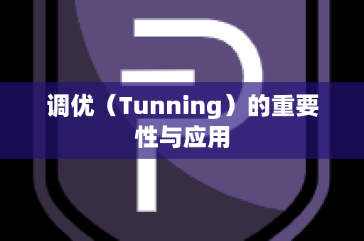 调优（Tunning）的重要性与应用