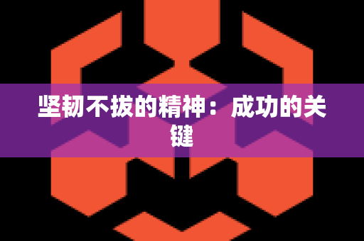 坚韧不拔的精神：成功的关键