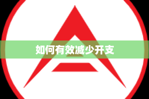 如何有效减少开支