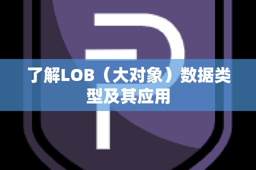 了解LOB（大对象）数据类型及其应用