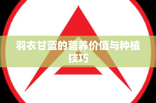 羽衣甘蓝的营养价值与种植技巧