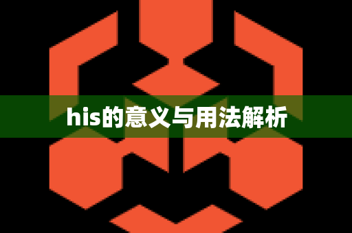 his的意义与用法解析
