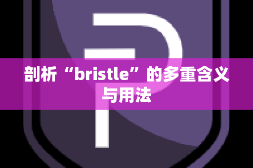 剖析“bristle”的多重含义与用法