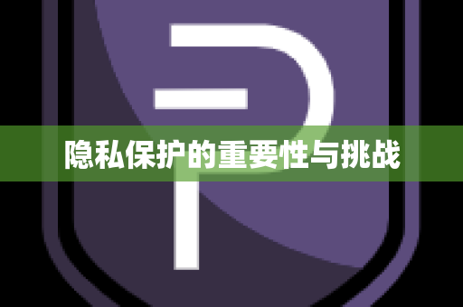 隐私保护的重要性与挑战