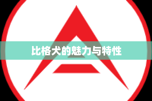 比格犬的魅力与特性