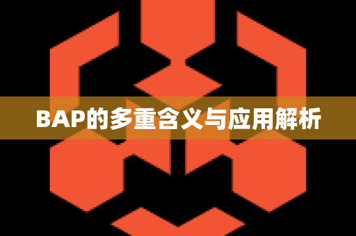 BAP的多重含义与应用解析