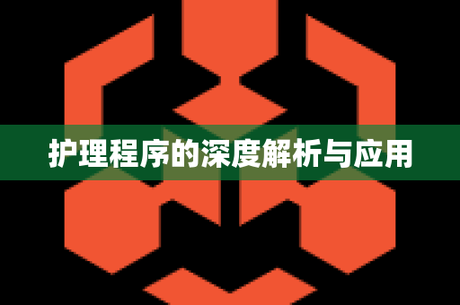护理程序的深度解析与应用