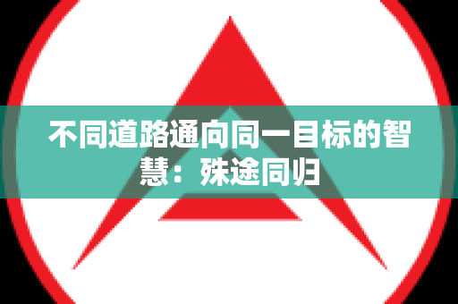 不同道路通向同一目标的智慧：殊途同归