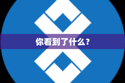你看到了什么？