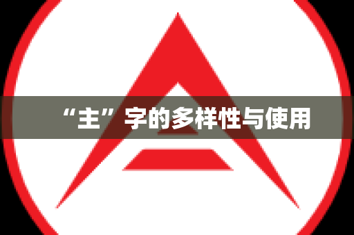 “主”字的多样性与使用