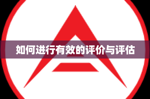 如何进行有效的评价与评估