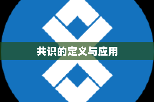 共识的定义与应用