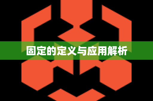 固定的定义与应用解析