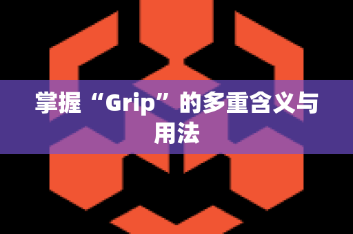 掌握“Grip”的多重含义与用法