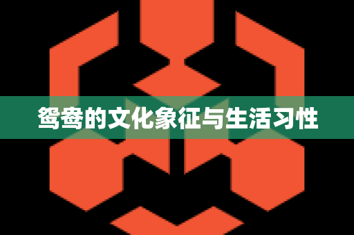 鸳鸯的文化象征与生活习性