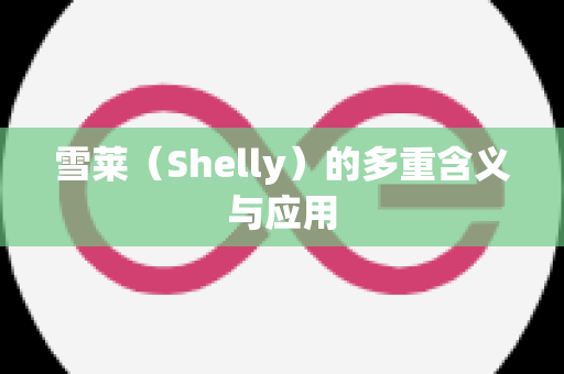 雪莱（Shelly）的多重含义与应用