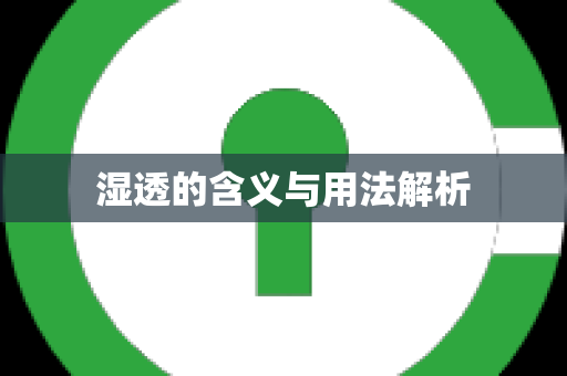 湿透的含义与用法解析