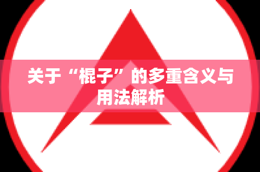 关于“棍子”的多重含义与用法解析