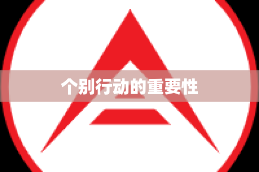 个别行动的重要性