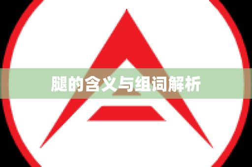 腿的含义与组词解析