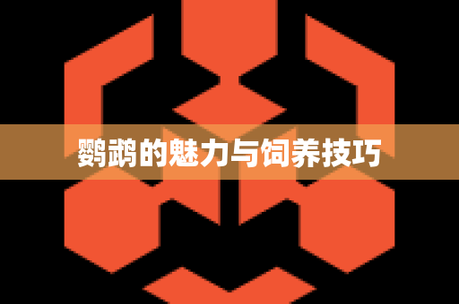 鹦鹉的魅力与饲养技巧