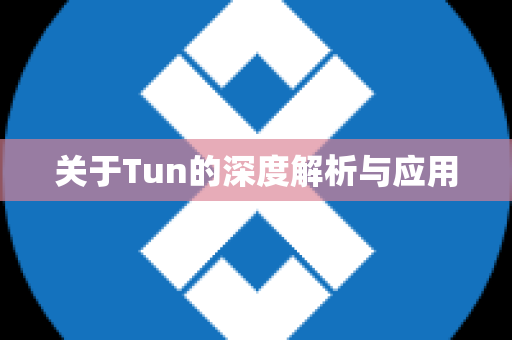 关于Tun的深度解析与应用