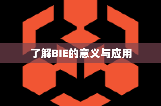 了解BIE的意义与应用