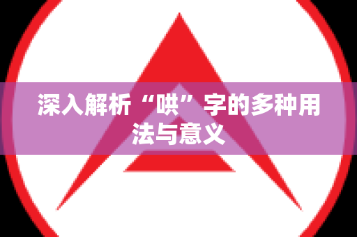 深入解析“哄”字的多种用法与意义