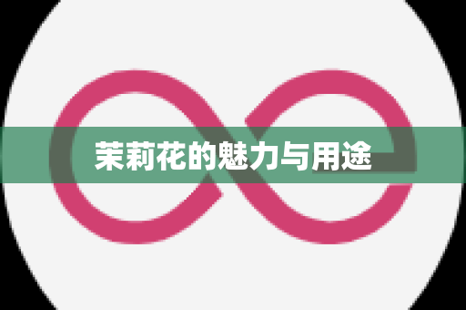 茉莉花的魅力与用途