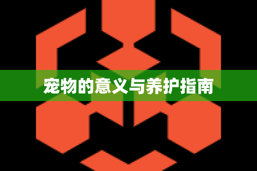 宠物的意义与养护指南