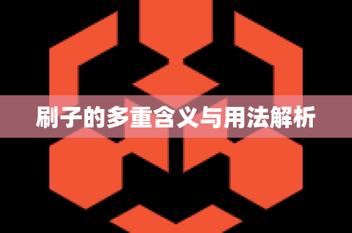 刷子的多重含义与用法解析