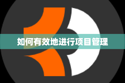 如何有效地进行项目管理