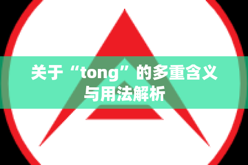 关于“tong”的多重含义与用法解析