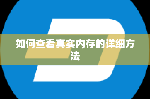 如何查看真实内存的详细方法