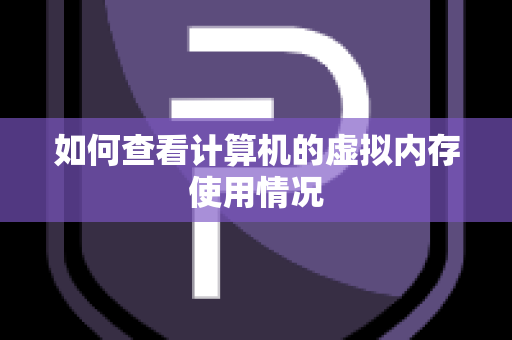 如何查看计算机的虚拟内存使用情况