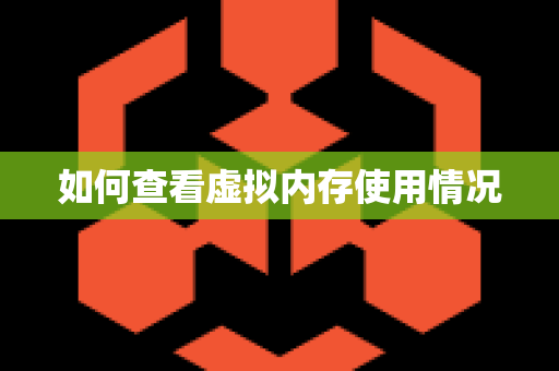 如何查看虚拟内存使用情况