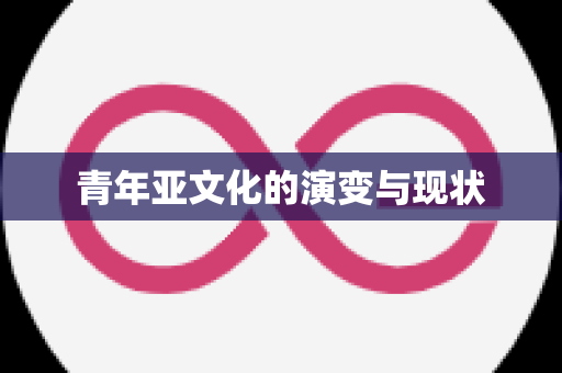 青年亚文化的演变与现状