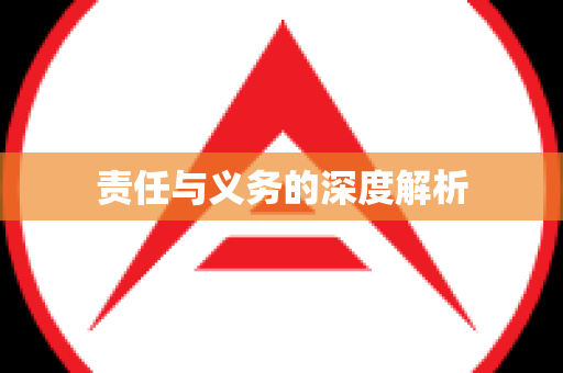 责任与义务的深度解析