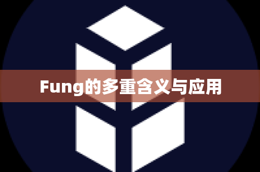 Fung的多重含义与应用