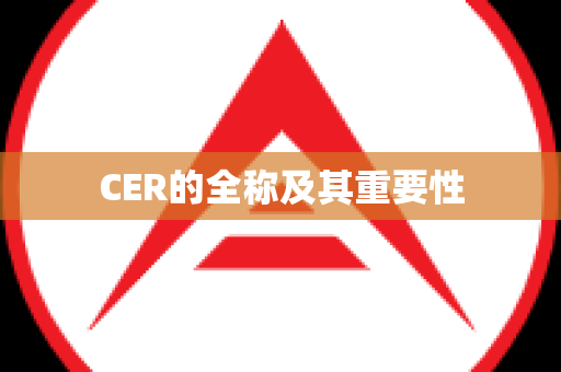 CER的全称及其重要性