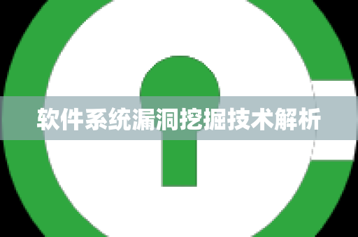 软件系统漏洞挖掘技术解析