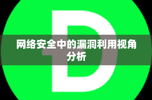 网络安全中的漏洞利用视角分析