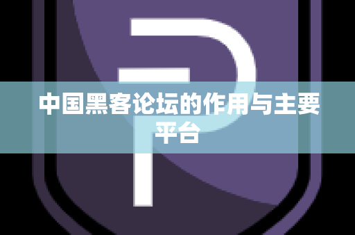 中国黑客论坛的作用与主要平台