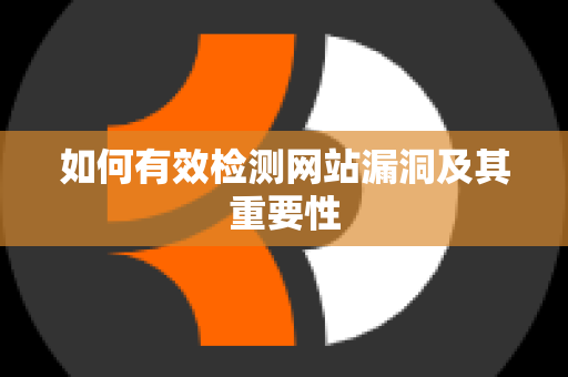 如何有效检测网站漏洞及其重要性