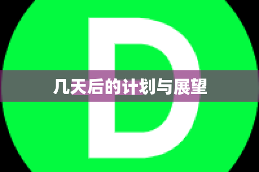 几天后的计划与展望