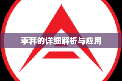 荸荠的详细解析与应用