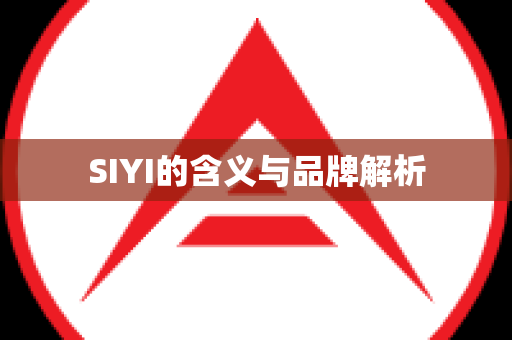 SIYI的含义与品牌解析