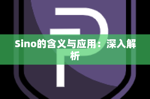 Sino的含义与应用：深入解析