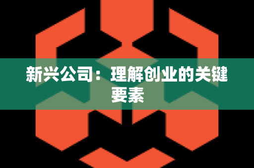 新兴公司：理解创业的关键要素