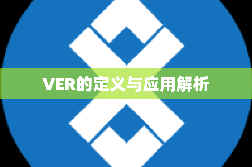 VER的定义与应用解析